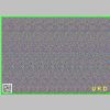 3D-Picture.png