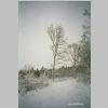 Winter2008-2.jpg