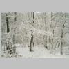 Winter2008-3.jpg