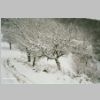 Winter2008-5.jpg